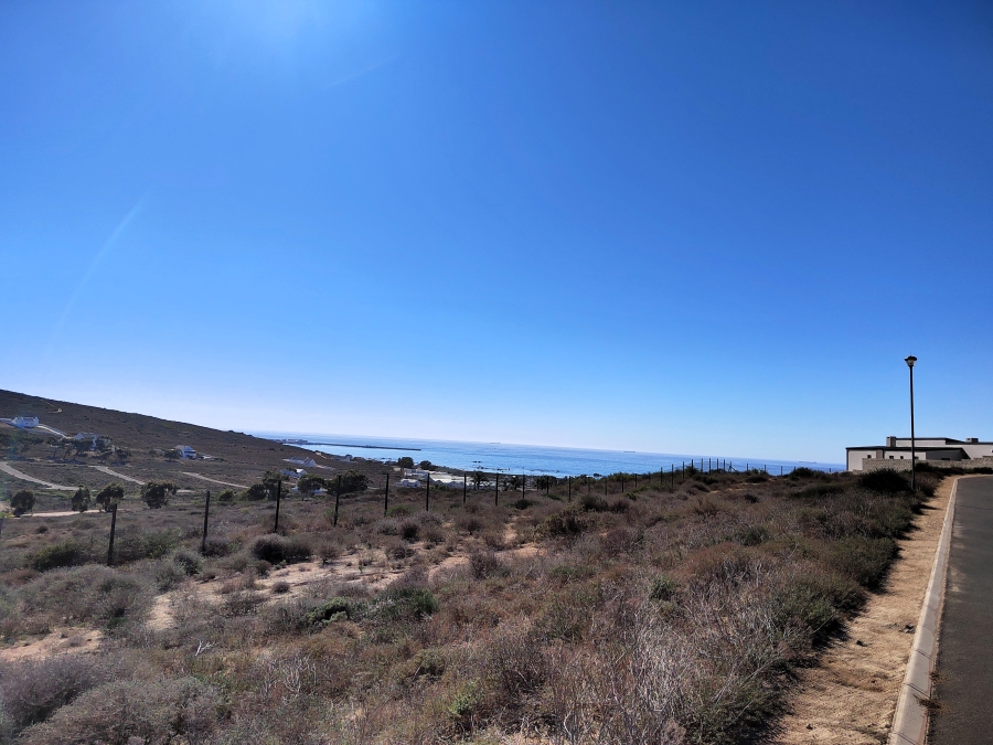 0 Bedroom Property for Sale in Steenbergs Cove Western Cape